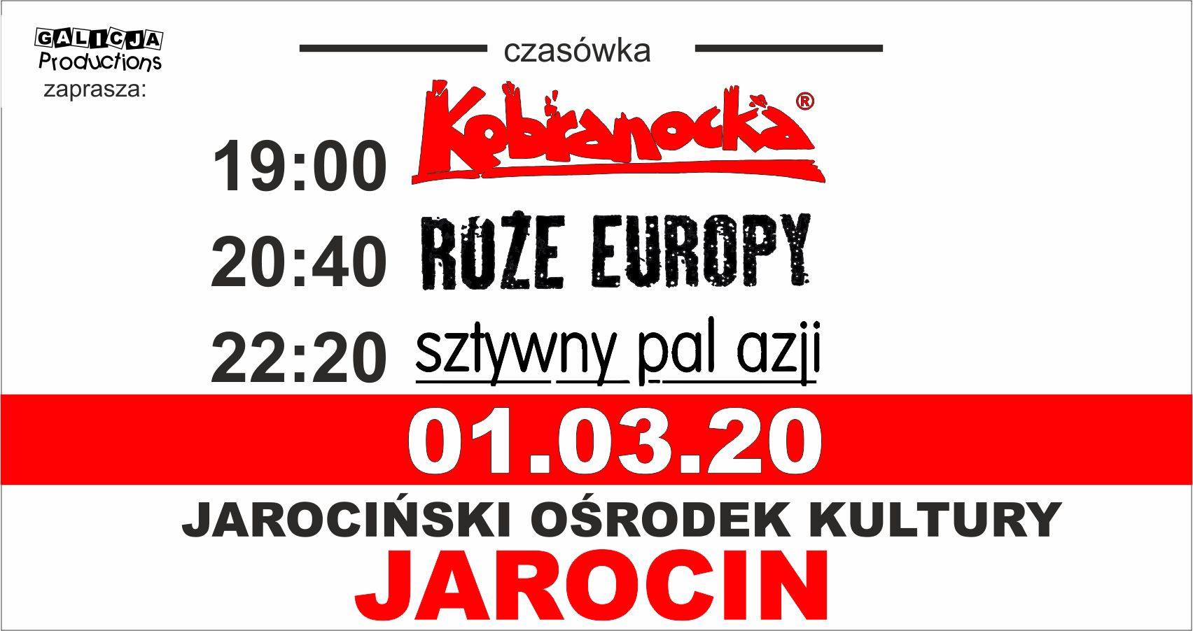 Kobranocka, Sztywny Pal Azji, Róże Europy pojutrze 1 marca 2020 r. w JOK Jarocin. Polecamy!